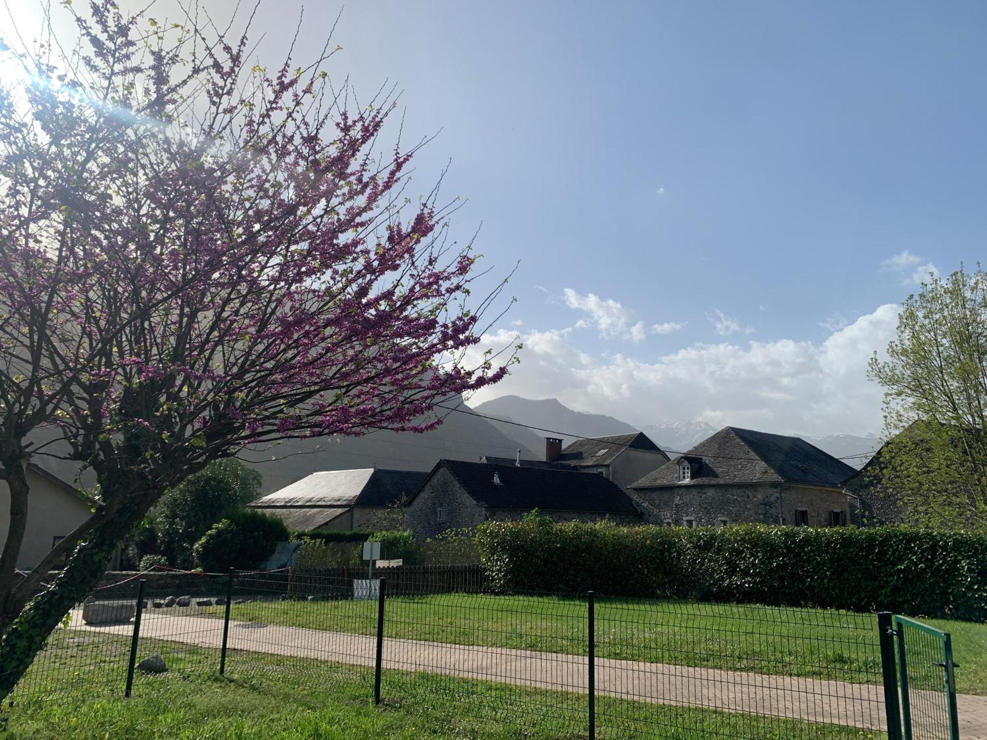 La Suite Unique - Le Jardin Sur Les Pyrenees- Vue Panoramique Montagne -Jardin Cloture Prive De 100M2-Parking-Linge De Lit Et Serviettes Compris- Bielle Dış mekan fotoğraf
